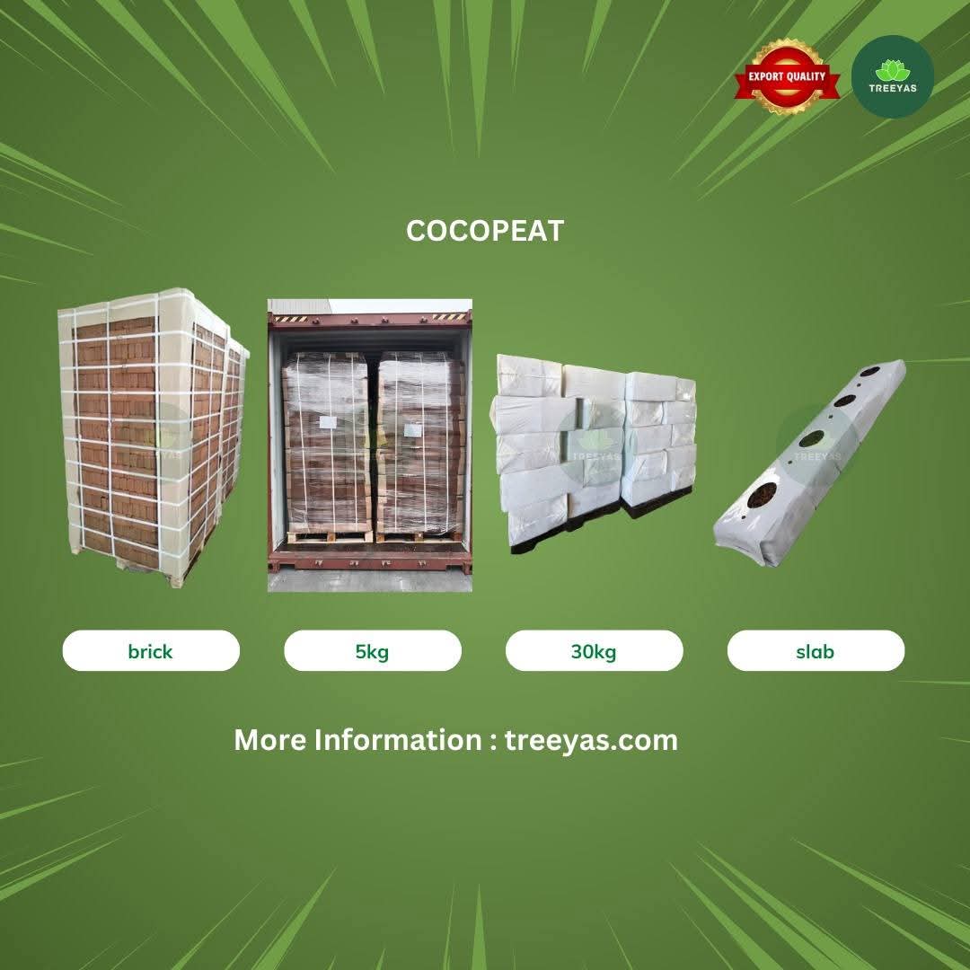 cocopeat-treeyas-indonesia